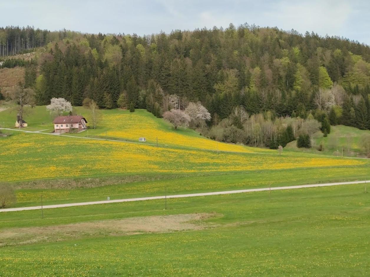 Ferienhaus Schoeller Schonbach ภายนอก รูปภาพ